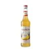 Monin Sirope De Piña -Bebidas Ventas 2024 v042050